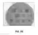 Fig. 05 - Bovine milk oligosaccharides