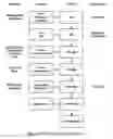 Fig. 06 - Formulations of aminoglycoside and fosfomycin combinations and methods and systems for treatment of ventilator associated pneumonia (VAP) and ventilator associated tracheal (VAT) bronchitis