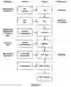 Fig. 05 - Formulations of aminoglycoside and fosfomycin combinations and methods and systems for treatment of ventilator associated pneumonia (VAP) and ventilator associated tracheal (VAT) bronchitis