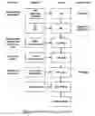 Fig. 06 - Formulations of aminoglycoside and fosfomycin combinations and methods and systems for treatment of ventilator associated pneumonia (VAP) and ventilator associated tracheal (VAT) bronchitis