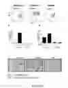 Fig. 06 - Methods and compositions for modulating cancer stem cells