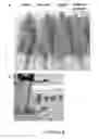 Fig. 08 - Methods and compositions for modulating cancer stem cells
