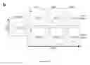 Fig. 13 - VEHICLE FOR DELIVERING A COMPOUND TO A MUCOUS MEMBRANE AND RELATED COMPOSITIONS, METHODS AND SYSTEMS