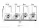 Fig. 23 - VEHICLE FOR DELIVERING A COMPOUND TO A MUCOUS MEMBRANE AND RELATED COMPOSITIONS, METHODS AND SYSTEMS