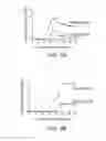 Fig. 04 - NUTRACEUTICAL COMPOSITION AND METHODS FOR PREVENTING OR TREATING MULTIPLE SCLEROSIS