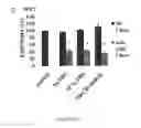 Fig. 23 - Compositions and their use for removing cholesterol