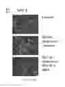 Fig. 24 - Compositions and their use for removing cholesterol