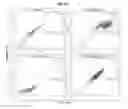 Fig. 03 - Methods for generation of podocytes from pluripotent stem cells and cells produced by the same