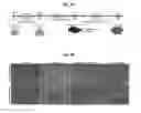 Fig. 05 - Methods for generation of podocytes from pluripotent stem cells and cells produced by the same