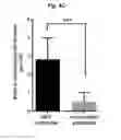 Fig. 12 - Methods for generation of podocytes from pluripotent stem cells and cells produced by the same