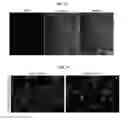 Fig. 17 - Methods for generation of podocytes from pluripotent stem cells and cells produced by the same