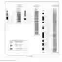 Fig. 12 - Dosage compensating transgenes and cells