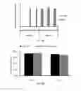 Fig. 14 - Dosage compensating transgenes and cells