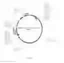 Fig. 17 - Dosage compensating transgenes and cells