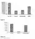 Fig. 06 - METHOD FOR ISOLATING STROMAL VASCULAR FRACTION