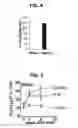 Fig. 04 - Composition for inducing proliferation or accumulation of regulatory T cells
