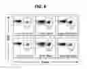Fig. 05 - Composition for inducing proliferation or accumulation of regulatory T cells
