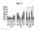 Fig. 06 - Composition for inducing proliferation or accumulation of regulatory T cells
