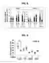 Fig. 07 - Composition for inducing proliferation or accumulation of regulatory T cells