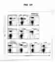 Fig. 14 - Composition for inducing proliferation or accumulation of regulatory T cells