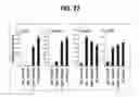 Fig. 16 - Composition for inducing proliferation or accumulation of regulatory T cells