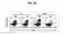 Fig. 17 - Composition for inducing proliferation or accumulation of regulatory T cells