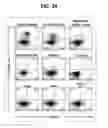 Fig. 18 - Composition for inducing proliferation or accumulation of regulatory T cells
