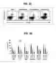 Fig. 19 - Composition for inducing proliferation or accumulation of regulatory T cells