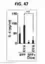 Fig. 32 - Composition for inducing proliferation or accumulation of regulatory T cells