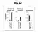 Fig. 37 - Composition for inducing proliferation or accumulation of regulatory T cells
