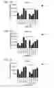 Fig. 05 - Probiotic compositions containing clostridiales for inhibiting inflammation