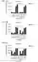 Fig. 14 - Probiotic compositions containing clostridiales for inhibiting inflammation