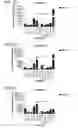 Fig. 15 - Probiotic compositions containing clostridiales for inhibiting inflammation