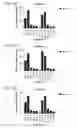 Fig. 20 - Probiotic compositions containing clostridiales for inhibiting inflammation