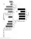 Fig. 45 - Probiotic compositions containing clostridiales for inhibiting inflammation