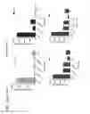 Fig. 54 - Probiotic compositions containing clostridiales for inhibiting inflammation