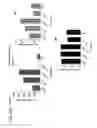 Fig. 59 - Probiotic compositions containing clostridiales for inhibiting inflammation