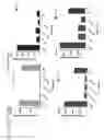 Fig. 64 - Probiotic compositions containing clostridiales for inhibiting inflammation