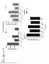 Fig. 71 - Probiotic compositions containing clostridiales for inhibiting inflammation