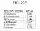 Fig. 92 - Probiotic compositions containing clostridiales for inhibiting inflammation
