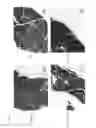 Fig. 11 - Gene-modified coxsackievirus