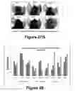 Fig. 18 - Molecular and herbal combinations for treating psoriasis