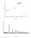 Fig. 03 - Nanoparticulate titanium dioxide nanomaterial modified with functional groups and with citric extracts adsorbed on the surface, for the removal of a wide range of microorganisms