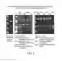 Fig. 04 - ICE-CLEAVED ALPHA-SYNUCLEIN AS A BIOMARKER