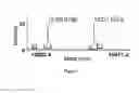 Fig. 08 - ICE-CLEAVED ALPHA-SYNUCLEIN AS A BIOMARKER