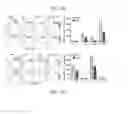 Fig. 07 - Enhancing progenitor cell numbers