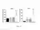 Fig. 08 - Enhancing progenitor cell numbers