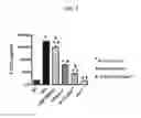 Fig. 02 - METHODS AND COMPOSITIONS FOR MODULATING FGF23 LEVELS