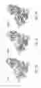 Fig. 07 - COMPOSITIONS AND METHODS FOR TREATING CHARCOT-MARIE-TOOTH DISEASES AND RELATED NEURONAL DISEASES