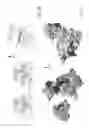 Fig. 31 - COMPOSITIONS AND METHODS FOR TREATING CHARCOT-MARIE-TOOTH DISEASES AND RELATED NEURONAL DISEASES